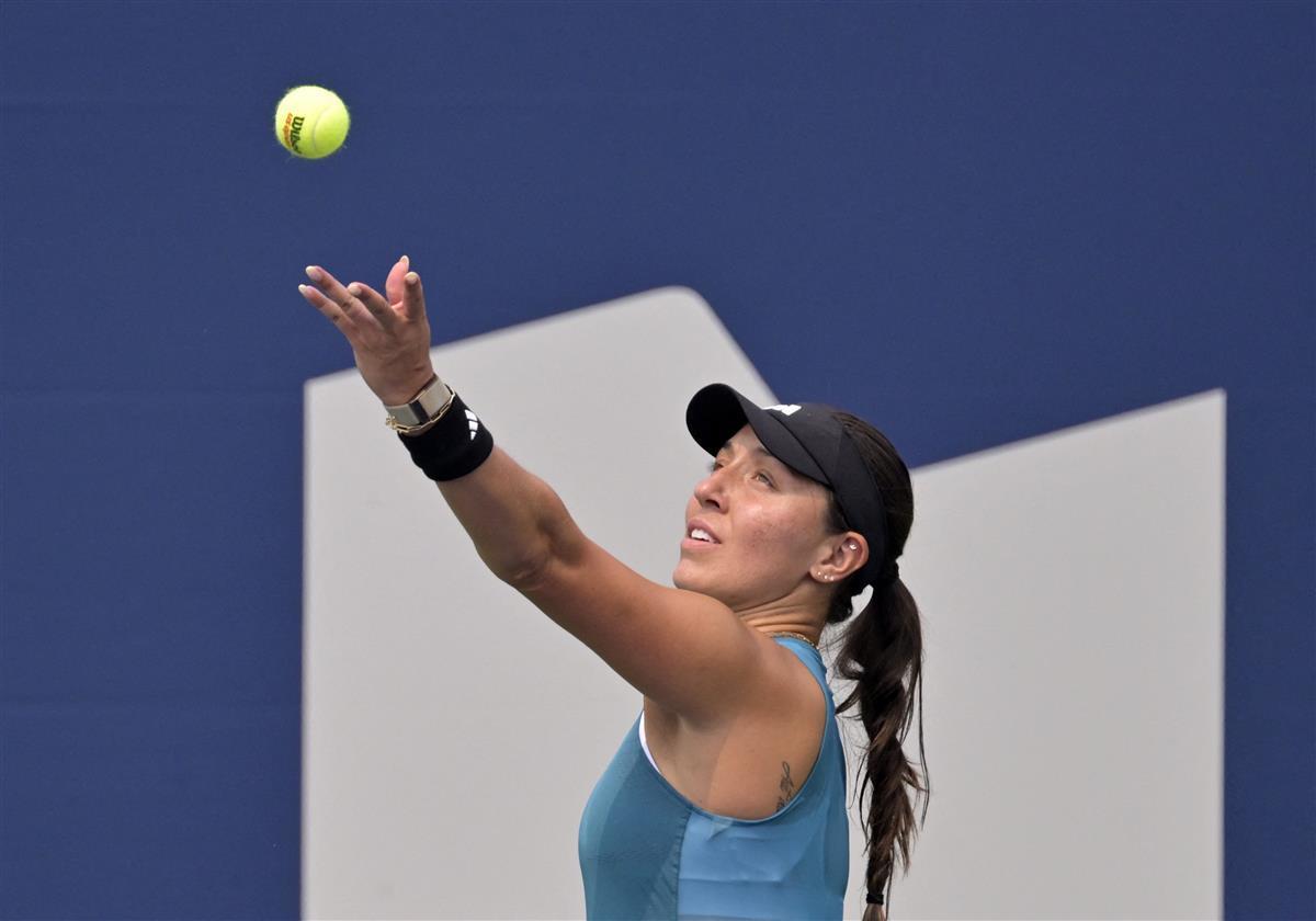 的广泛赞誉 的广泛赞誉